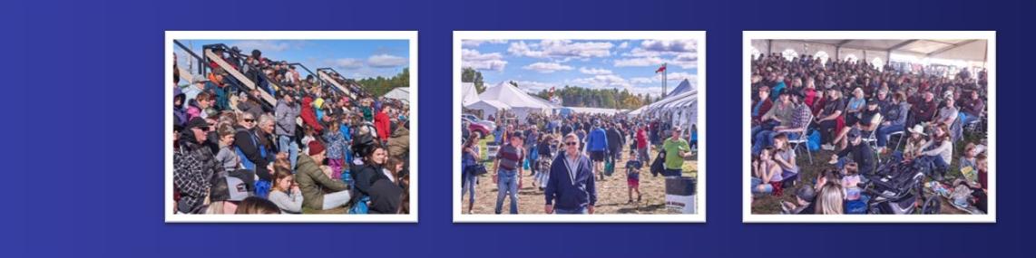 What to See & Do at the IPM